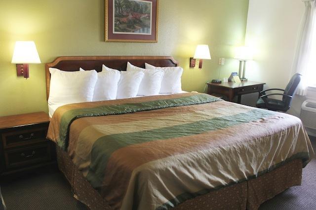 Rodeway Inn & Suites Nashville Zimmer foto
